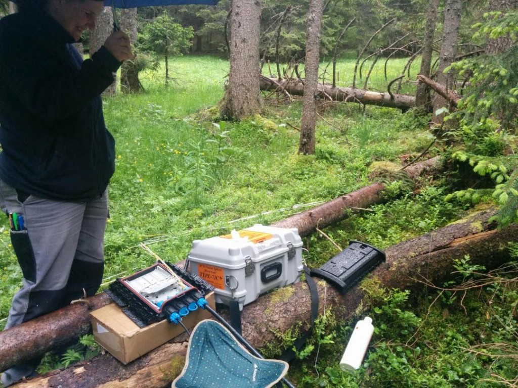 Soudure fibre au milieu de la forêt